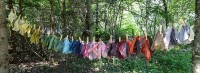 http://mail.joannaclose.com/files/gimgs/th-34_Dyeline.jpg